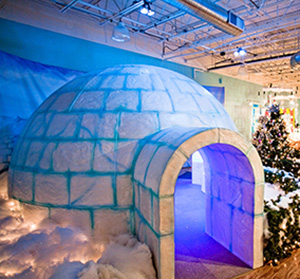 Kansas City Museum/Zona Rosa Igloo